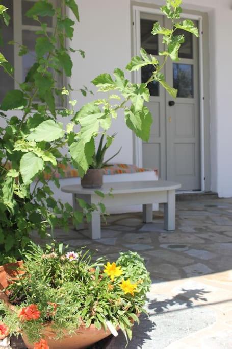 Villa A Casa D' Irene Páros Exterior foto